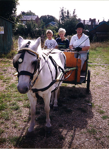 Sean - Waverley RDA